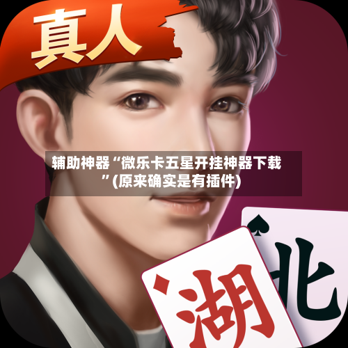 辅助神器“微乐卡五星开挂神器下载”(原来确实是有插件)-第1张图片
