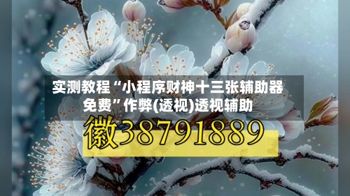 实测教程“小程序财神十三张辅助器免费”作弊(透视)透视辅助-第1张图片