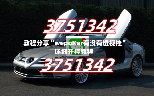 教程分享“wepoKer有没有透视挂	”详细开挂教程-第1张图片