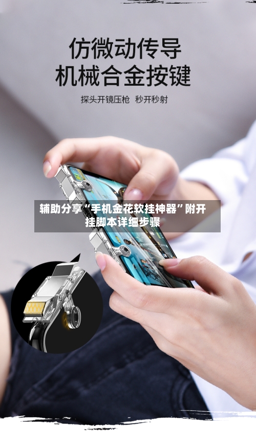 辅助分享“手机金花软挂神器”附开挂脚本详细步骤-第1张图片