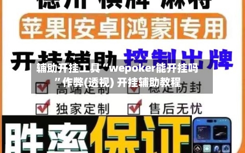 辅助开挂工具“wepoker能开挂吗”作弊(透视) 开挂辅助教程-第1张图片