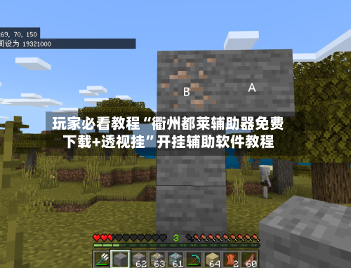 玩家必看教程“衢州都莱辅助器免费下载+透视挂”开挂辅助软件教程-第1张图片