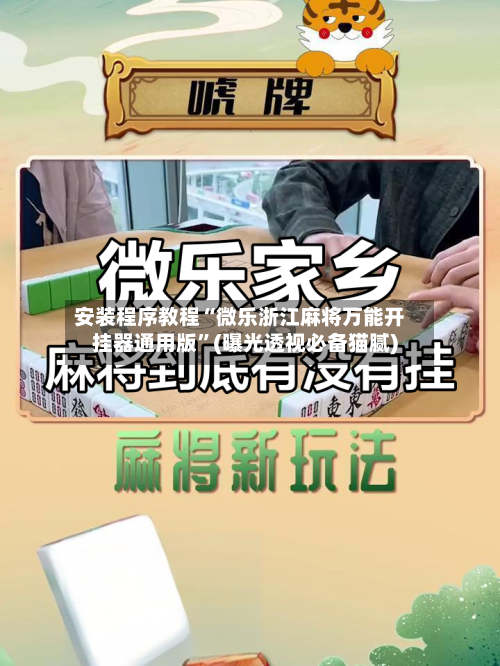 安装程序教程“微乐浙江麻将万能开挂器通用版”(曝光透视必备猫腻)-第1张图片