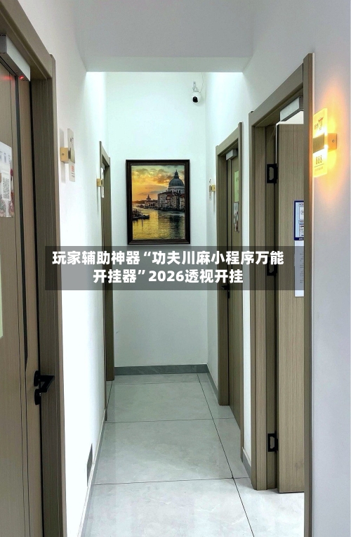 玩家辅助神器“功夫川麻小程序万能开挂器”2026透视开挂-第1张图片