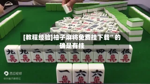 [教程经验]柚子麻将免费挂下载”的确是有挂-第1张图片
