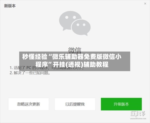 秒懂经验“微乐辅助器免费版微信小程序”开挂(透视)辅助教程-第1张图片