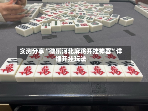 实测分享“微乐河北麻将开挂神器”详细开挂玩法-第1张图片