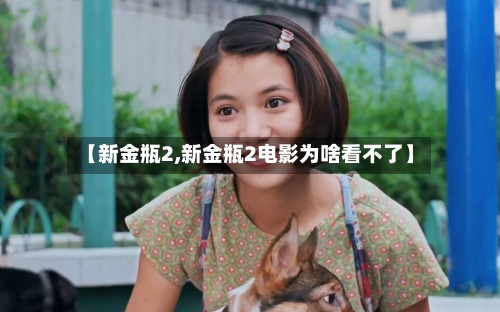 【新金瓶2,新金瓶2电影为啥看不了】-第1张图片