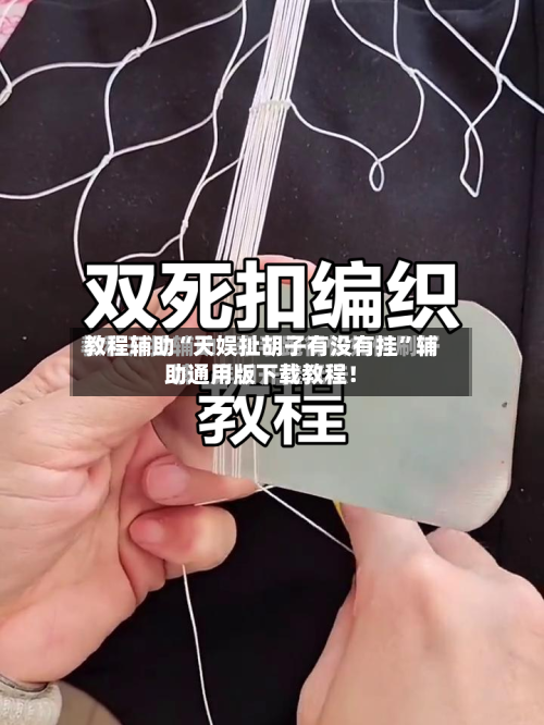 教程辅助“天娱扯胡子有没有挂”辅助通用版下载教程！-第1张图片