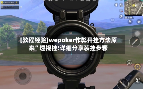 [教程经验]wepoker作弊开挂方法原来”透视挂!详细分享装挂步骤-第1张图片