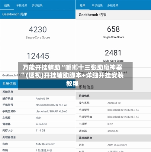 万能开挂辅助“嘟嘟十三张助赢神器	”(透视)开挂辅助脚本+详细开挂安装教程-第1张图片