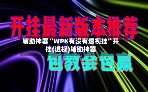 辅助神器“WPK有没有透视挂”开挂(透视)辅助神器-第1张图片