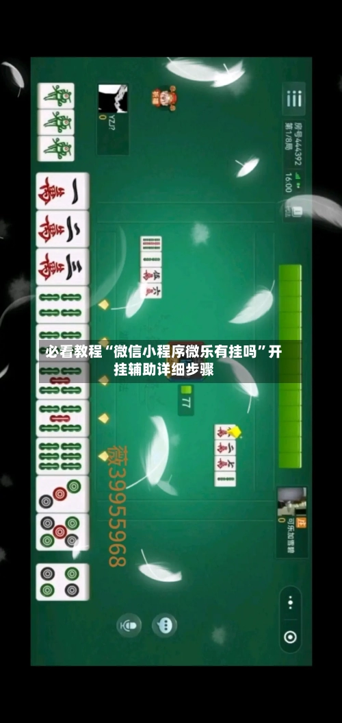 必看教程“微信小程序微乐有挂吗	”开挂辅助详细步骤-第1张图片