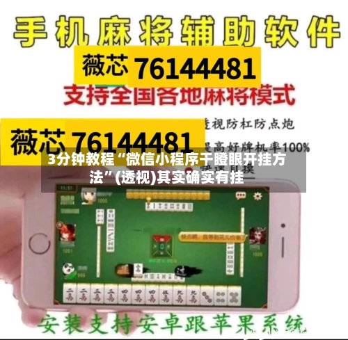 3分钟教程“微信小程序干瞪眼开挂方法”(透视)其实确实有挂-第1张图片