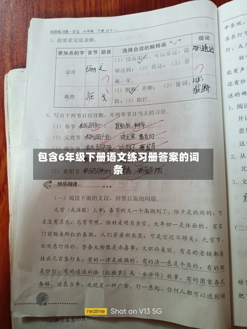 包含6年级下册语文练习册答案的词条-第1张图片