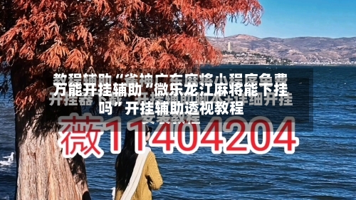 万能开挂辅助“微乐龙江麻将能下挂吗	”开挂辅助透视教程-第1张图片