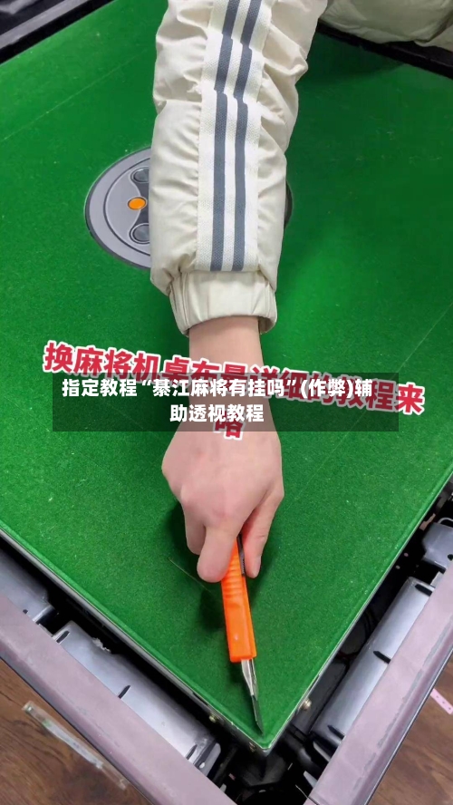 指定教程“綦江麻将有挂吗	”(作弊)辅助透视教程-第1张图片