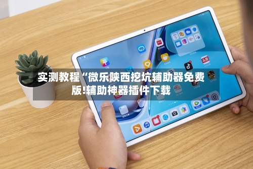 实测教程“微乐陕西挖坑辅助器免费版!辅助神器插件下载-第1张图片