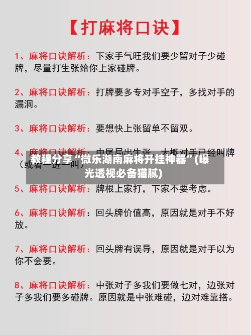 教程分享“微乐湖南麻将开挂神器”(曝光透视必备猫腻)-第1张图片