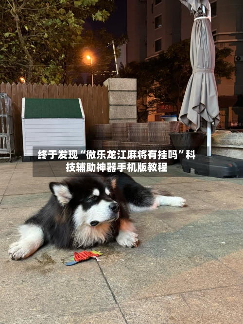 终于发现“微乐龙江麻将有挂吗”科技辅助神器手机版教程-第1张图片