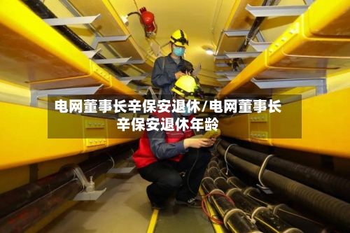 电网董事长辛保安退休/电网董事长辛保安退休年龄-第1张图片