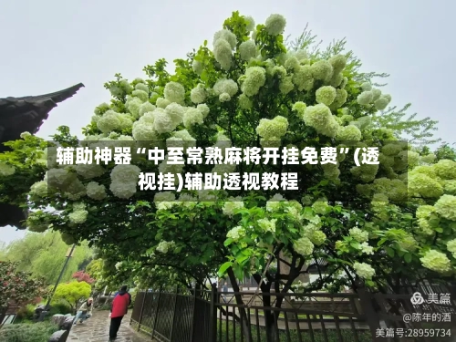 辅助神器“中至常熟麻将开挂免费	”(透视挂)辅助透视教程-第1张图片