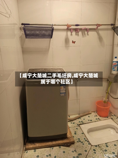 【咸宁大楚城二手毛坯房,咸宁大楚城属于哪个社区】-第1张图片