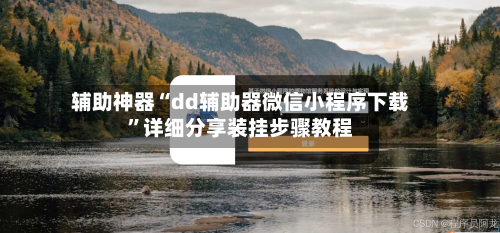 辅助神器“dd辅助器微信小程序下载	”详细分享装挂步骤教程-第1张图片