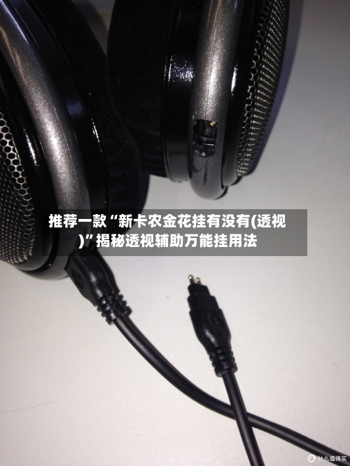 推荐一款“新卡农金花挂有没有(透视)”揭秘透视辅助万能挂用法-第1张图片