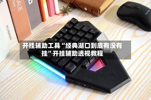开挂辅助工具“经典湖口到底有没有挂”开挂辅助透视教程-第1张图片