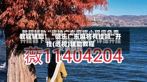 教程辅助！“微乐广东麻将有挂吗”开挂(透视)辅助教程-第1张图片