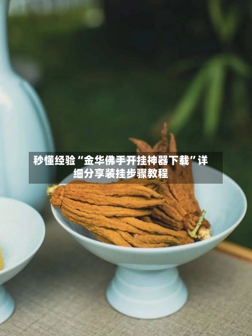 秒懂经验“金华佛手开挂神器下载	”详细分享装挂步骤教程-第1张图片