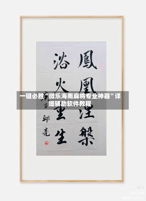 一键必胜“微乐海南麻将专业神器	”详细辅助软件教程-第1张图片