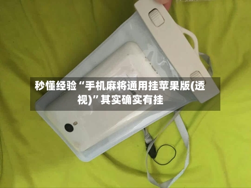 秒懂经验“手机麻将通用挂苹果版(透视)”其实确实有挂-第1张图片