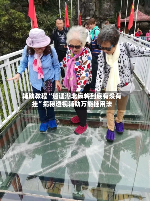 辅助教程“逍遥湖北麻将到底有没有挂”揭秘透视辅助万能挂用法-第1张图片