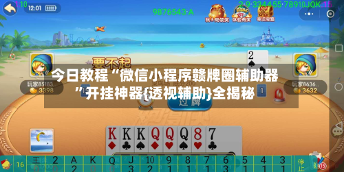 今日教程“微信小程序赣牌圈辅助器”开挂神器{透视辅助}全揭秘-第1张图片