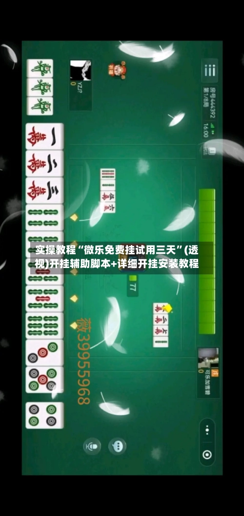 实操教程“微乐免费挂试用三天”(透视)开挂辅助脚本+详细开挂安装教程-第1张图片