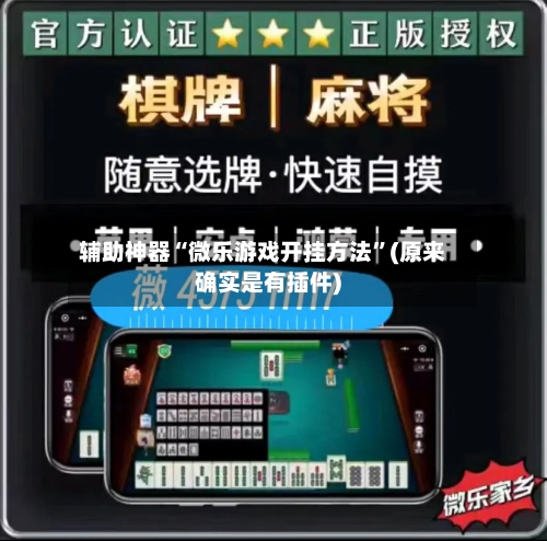 辅助神器“微乐游戏开挂方法	”(原来确实是有插件)-第1张图片