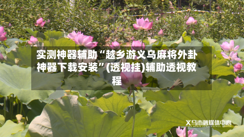 实测神器辅助“越乡游义乌麻将外卦神器下载安装”(透视挂)辅助透视教程-第1张图片
