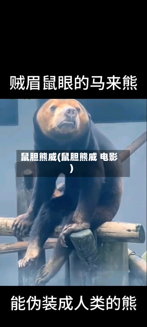 鼠胆熊威(鼠胆熊威 电影)-第1张图片