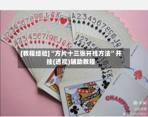 [教程经验]“方片十三张开挂方法”开挂(透视)辅助教程-第1张图片