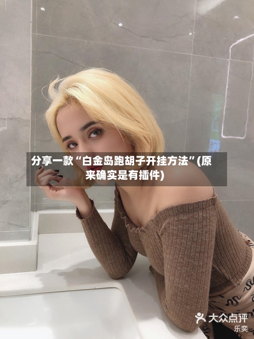 分享一款“白金岛跑胡子开挂方法”(原来确实是有插件)-第1张图片