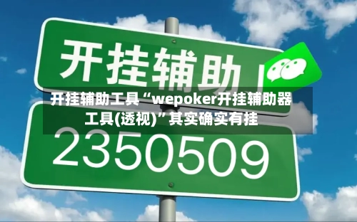 开挂辅助工具“wepoker开挂辅助器工具(透视)	”其实确实有挂-第1张图片
