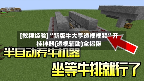 [教程经验]“新版牛大亨透视视频”开挂神器{透视辅助}全揭秘-第1张图片