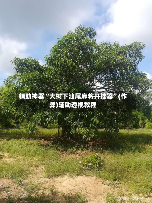 辅助神器“大树下汕尾麻将开挂器	”(作弊)辅助透视教程-第1张图片