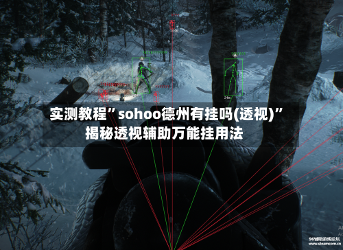 实测教程”sohoo德州有挂吗(透视)”揭秘透视辅助万能挂用法-第1张图片