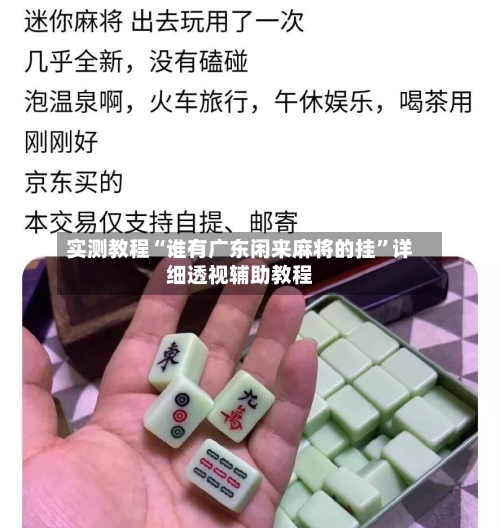 实测教程“谁有广东闲来麻将的挂	”详细透视辅助教程-第1张图片