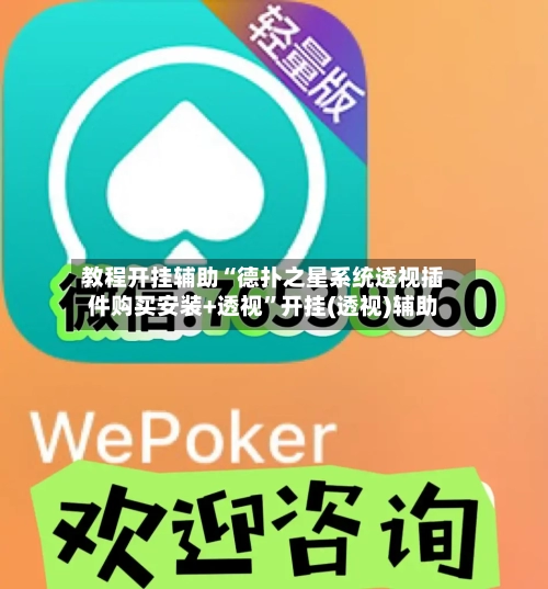 教程开挂辅助“德扑之星系统透视插件购买安装+透视”开挂(透视)辅助-第1张图片