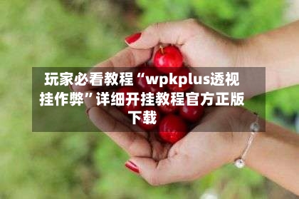 玩家必看教程“wpkplus透视挂作弊	”详细开挂教程官方正版下载-第1张图片