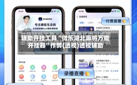 辅助开挂工具“微乐湖北麻将万能开挂器”作弊(透视)透视辅助-第1张图片